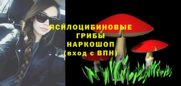 твердый Козельск