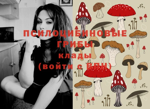 мдпв Верхнеуральск