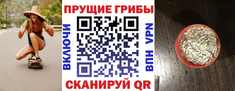 Галлюциногенные грибы Psilocybine cubensis  как найти   Гвардейск 